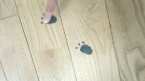 130606_100403.jpg