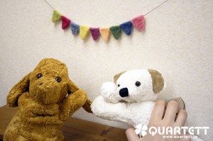 お誕生日お祝企画始動！！