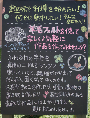 160225羊毛ツンツンしましょ♪の会05