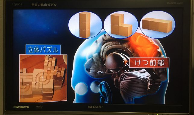 b5c0d60d-151d-4460-b8c8-c1a422d224e3