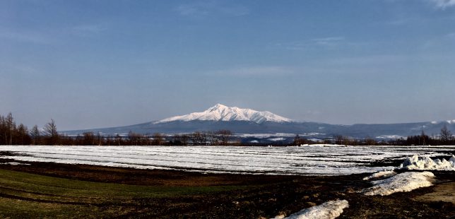 写真 2017-04-03 16 05 10
