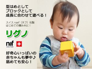 リグノ　初めての積木