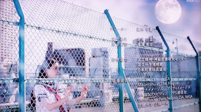 DSC01626 - コピー