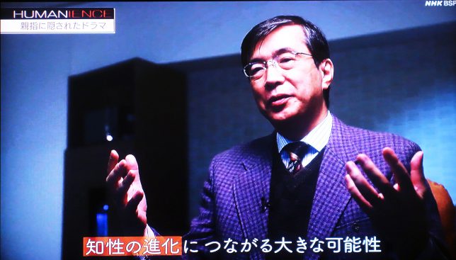 知育玩具と知性の進化