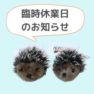 臨時休業日